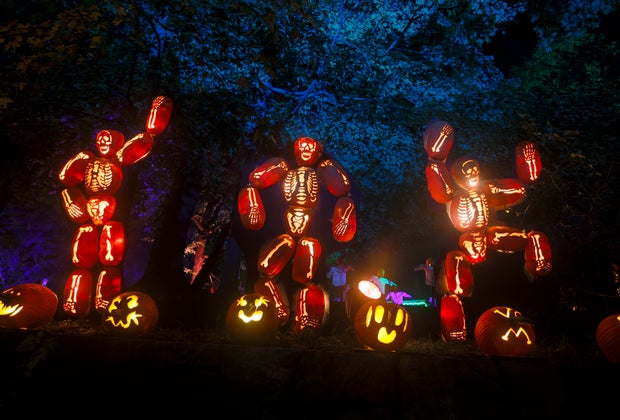 Teen friendly Halloween events in NYC: Great Jack-o'-Lantern Blaze