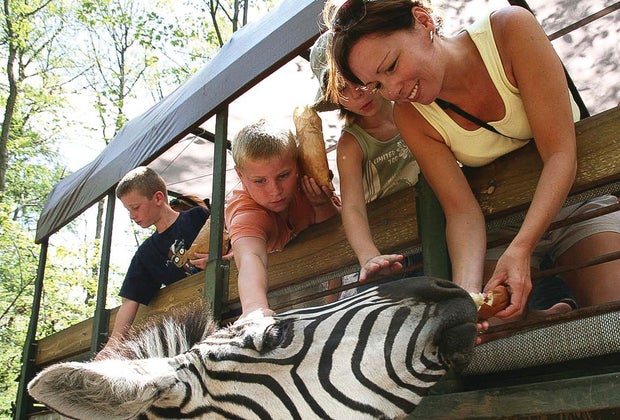 12 Great Animal Farms and Petting Zoos near DC for Kids Catoctin Wildlife Preserve