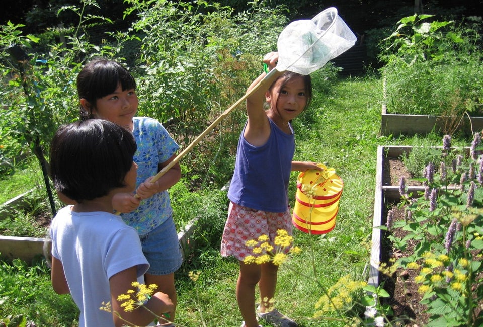 Photo Courtesy of Common Ground