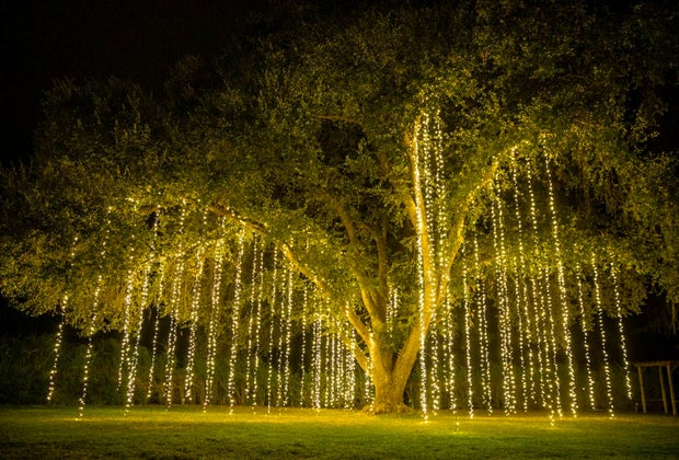 Christmas Light Displays in Los Angeles: Christmas Nights at 123 Farm