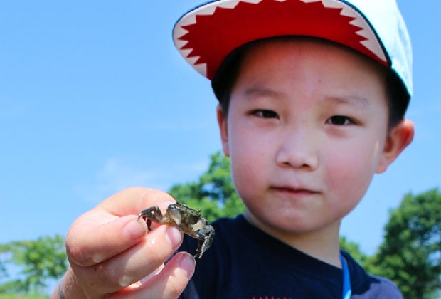 Maritime Aquarium Summer fun in Connecticut before school starts