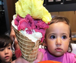 Photo courtesy of Sugar Cube