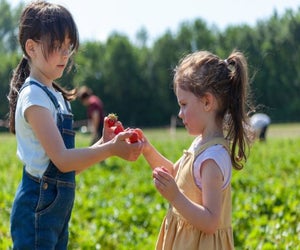 There is some sweet family fun for Boston families, with strawberry festivals in 2025.