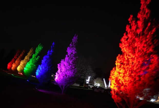 Lumagica Opens at Harvest Moon Orchards