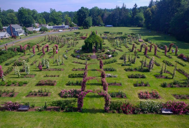 Image of Rose Garden - Free Things To Do in CT