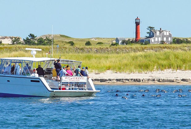 Photo of a Monomoy Island boat tour off Cape Cod.