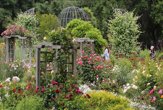 Top Attractions in Los Angeles: Descanso Gardens