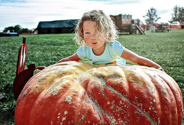DC Fall Bucket List: Butler's Orchard