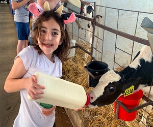 Feed calves directly from a bottle at South Mountain Creamery.