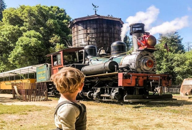 Things To Do in San Francisco With Kids: Roaring Camp Railroad