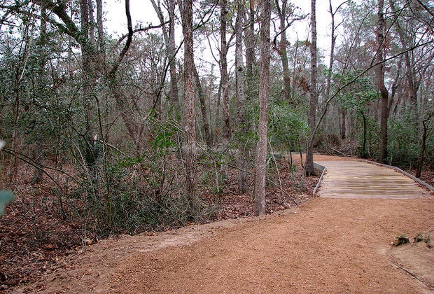 A trail in the woods at Houston Arboretum and Nature Center