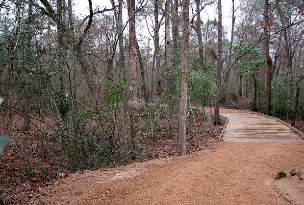 A trail in the woods at Houston Arboretum and Nature Center