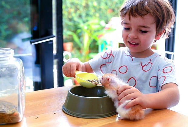 Chore Charts for Kids: Feeding pets