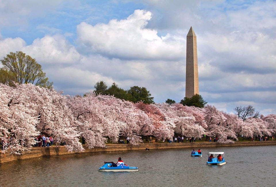 April is the ideal month to see the Washington, DC cherry blossoms. Photo courtesy of the National Park Service