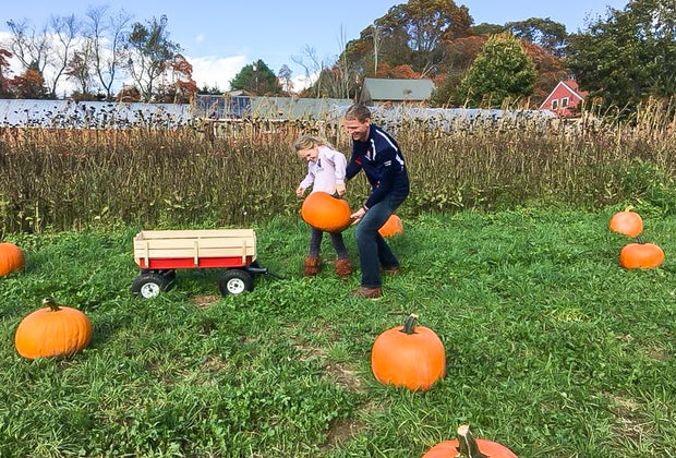 Image of family with pumpkins and wheelbarrow - Pumpkin Patches Near Boston