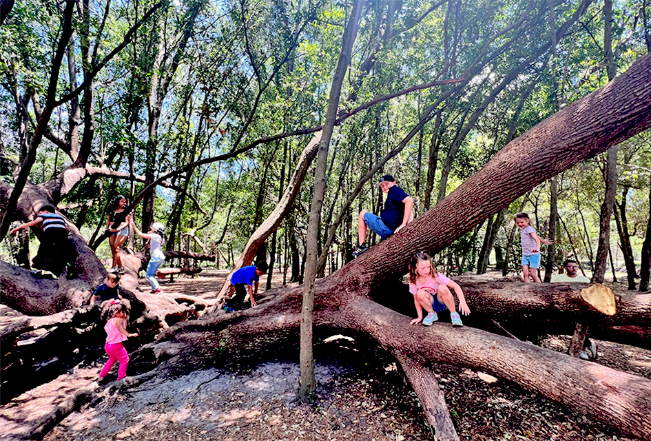 Bonnet Springs Park in Lakeland makes the the perfect outdoor day trip.