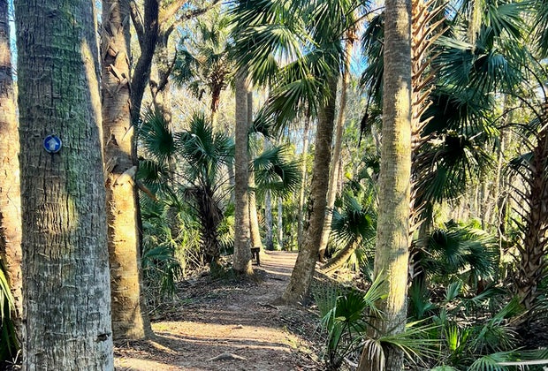 Black Bear Wilderness Area: 100 Free Fun Things to Do in Orlando with Kids