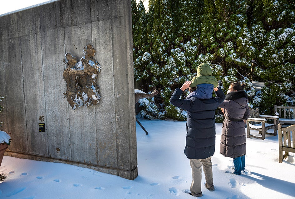 A visit to the Grounds for Sculpture in Hamilton makes for a great winter day trip. Photo by David Michael Howarth Photography 