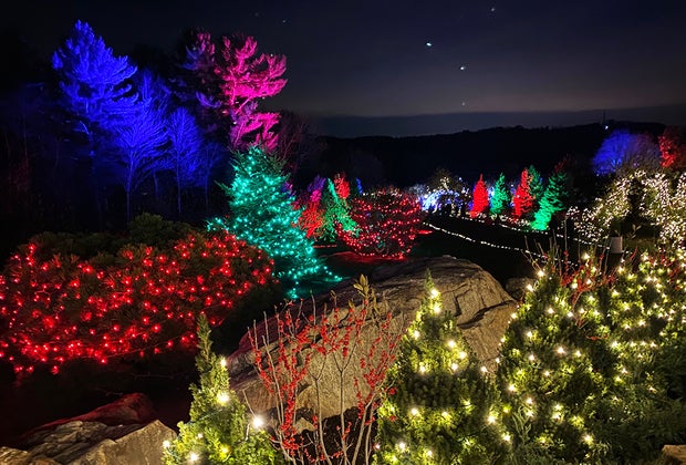 Lumagica Opens at Harvest Moon Orchards