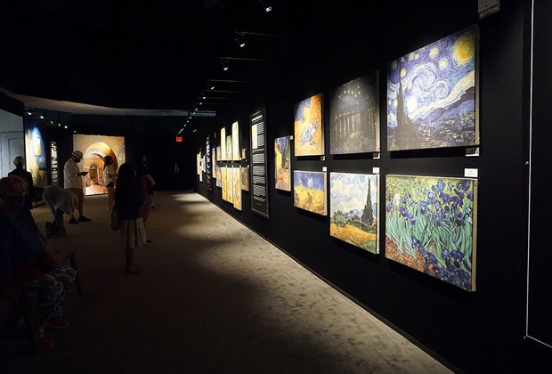 Van Gogh: The Immersive Experience has a gallery-like feel