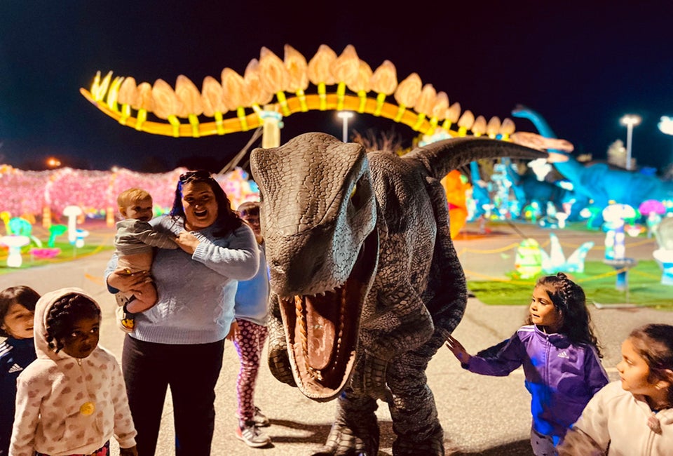 Dino Safari features life-size animatronic dinosaurs, themed rides, interactive experiences, and more.