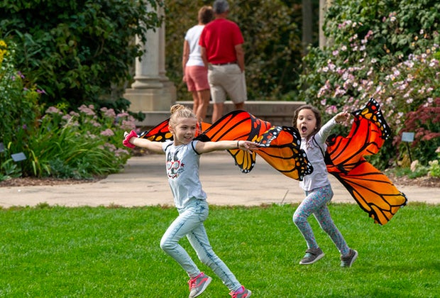 Family-Friendly Summer Weekend Getaways near Chicago: Green Bay