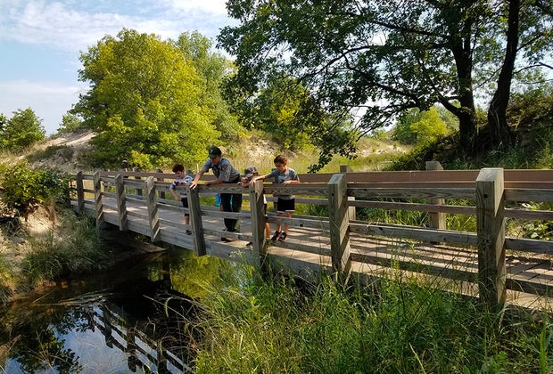 Best Campgrounds for Tent Camping near Chicago: Indiana Dunes