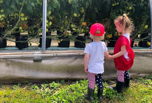 Image of kids on a farm - Best summer day trips from Connecticut.