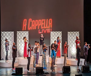 The high-energy musical celebration of contemporary a cappella, A Cappella Live, shines the spotlight on the greatest and best-known hits of four groups. Photo courtesy of the  performers
