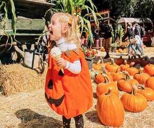 Pumpkin ice cream makes pumpkin picking all the sweeter. Photo courtesy of Lemos Farm