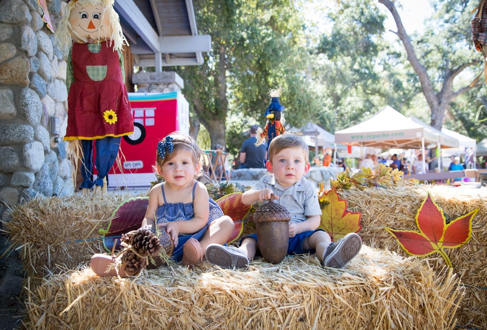 Acorn Day photo courtesy of OC Parks