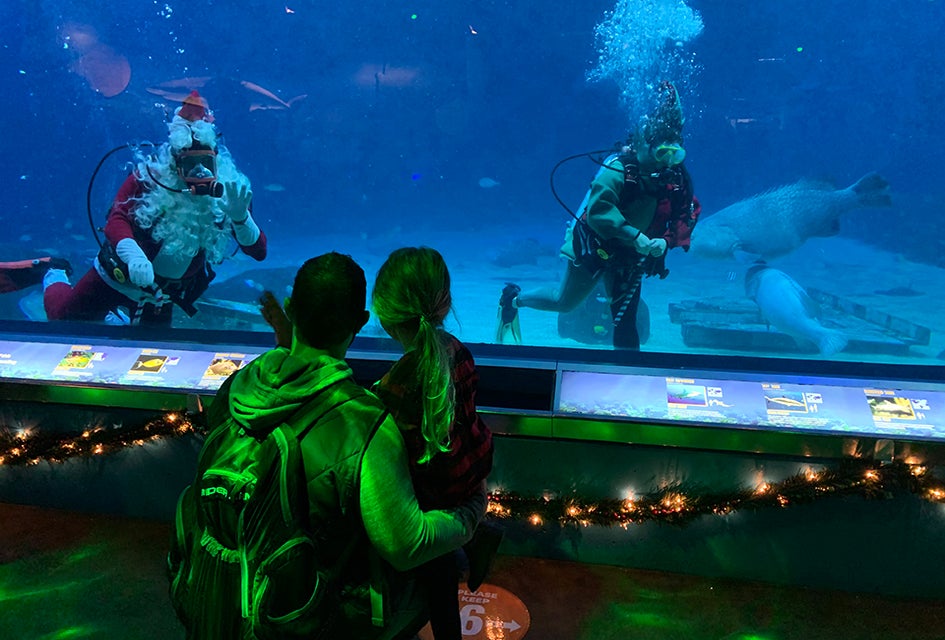 Meet Scuba Santa at the Adventure Aquarium. Photo courtesy of the Aquarium