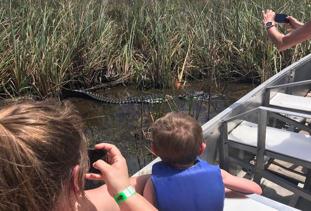 Alligator and child at Sawgrass Recreation Park