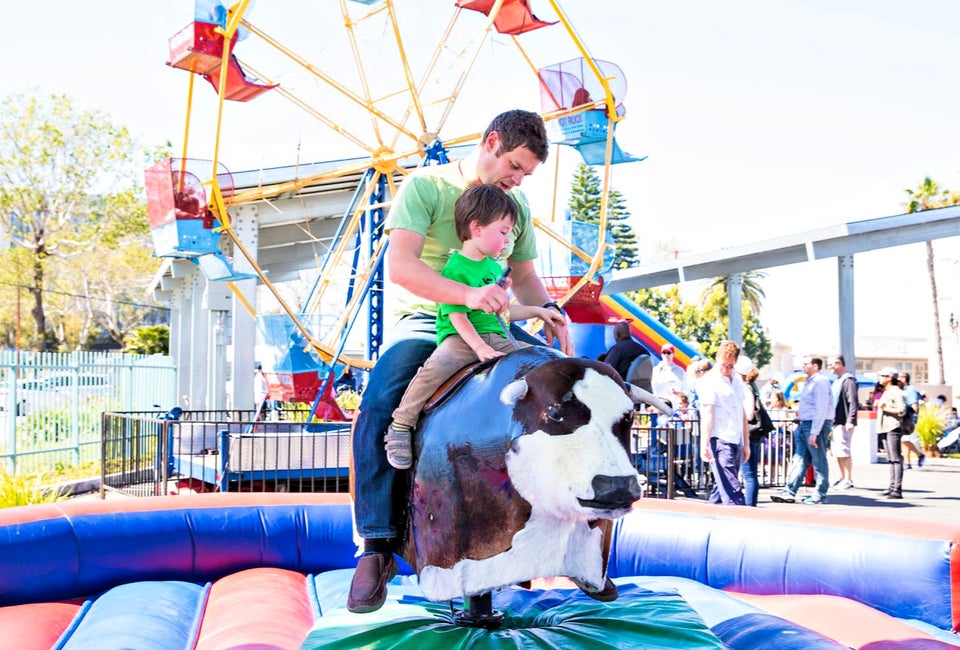 Photo courtesy of Alpert JCC 