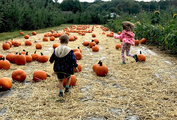 Preschoolers in a pumpkin patch