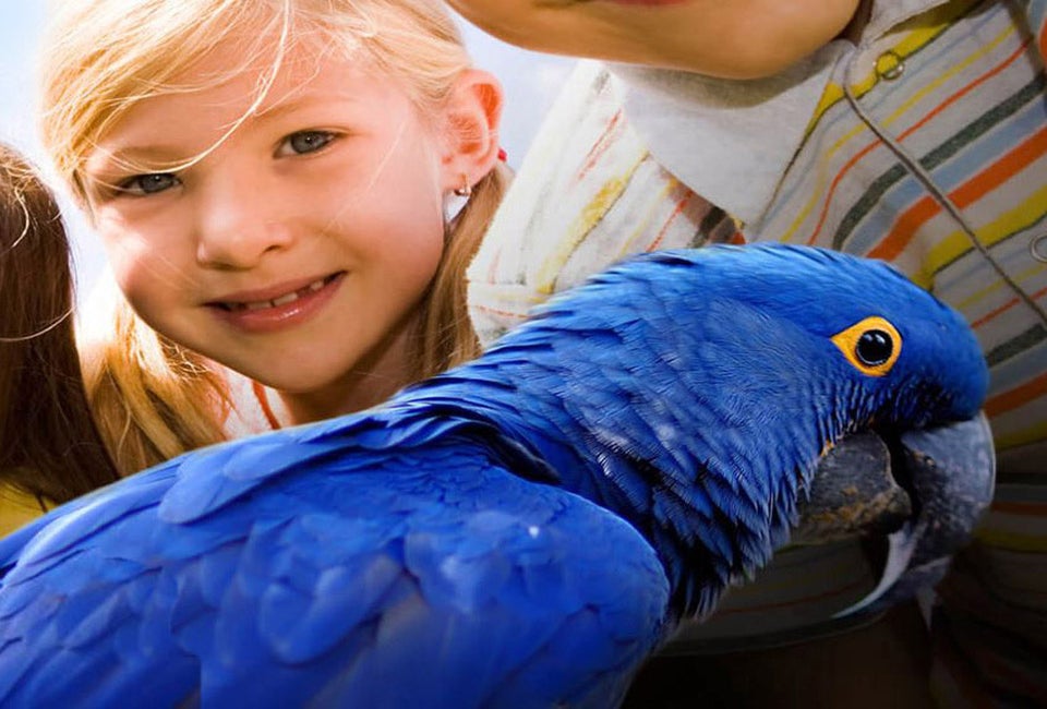 Kids are free in October at the San Diego Zoo. Photo courtesy of the San Diego Zoo