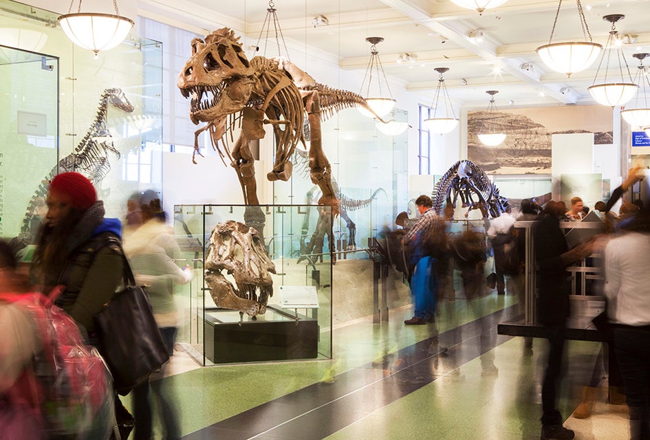 History roars to life at the American Museum of Natural History and kids under age 2 can see it for free. Photo by Marley White/courtesy AMNH