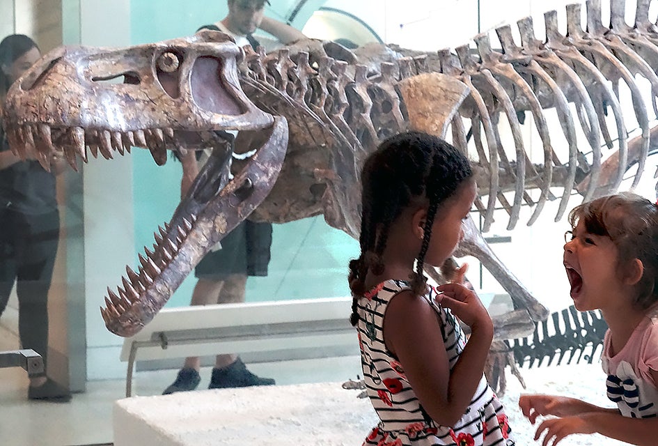 Admission to the American Museum of Natural History is FREE if you grab a voucher at your local Westchester library. Photo by Jody Mercier