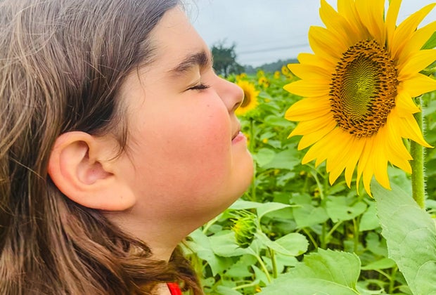 Epic Summer Bucket List of Things To Do in DC with Kids Pick Sunflowers