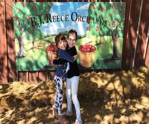 B.J. Reece Orchards is a great place to spend a weekend picking apples with the family. Photo by author