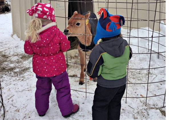 Image of kids with farm animals - Winter Day Trips from Boston