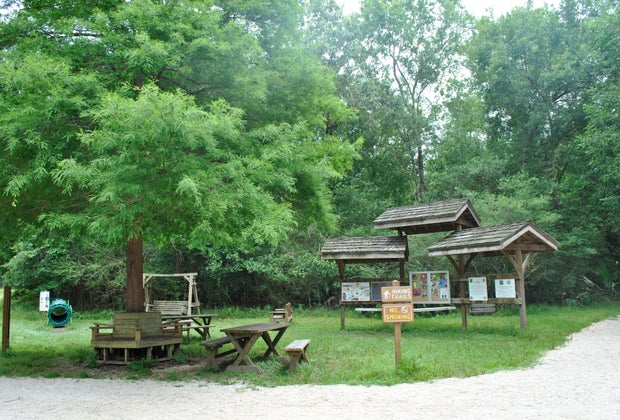 Exploring the Armand Bayou Nature Center in Houston with Kids