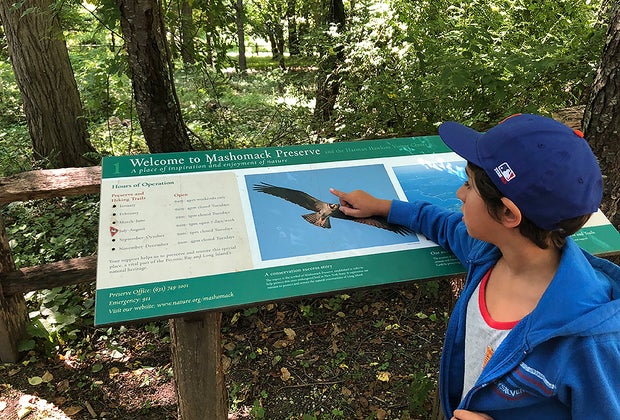 Mashomack Preserve: Shelter Island With Kids