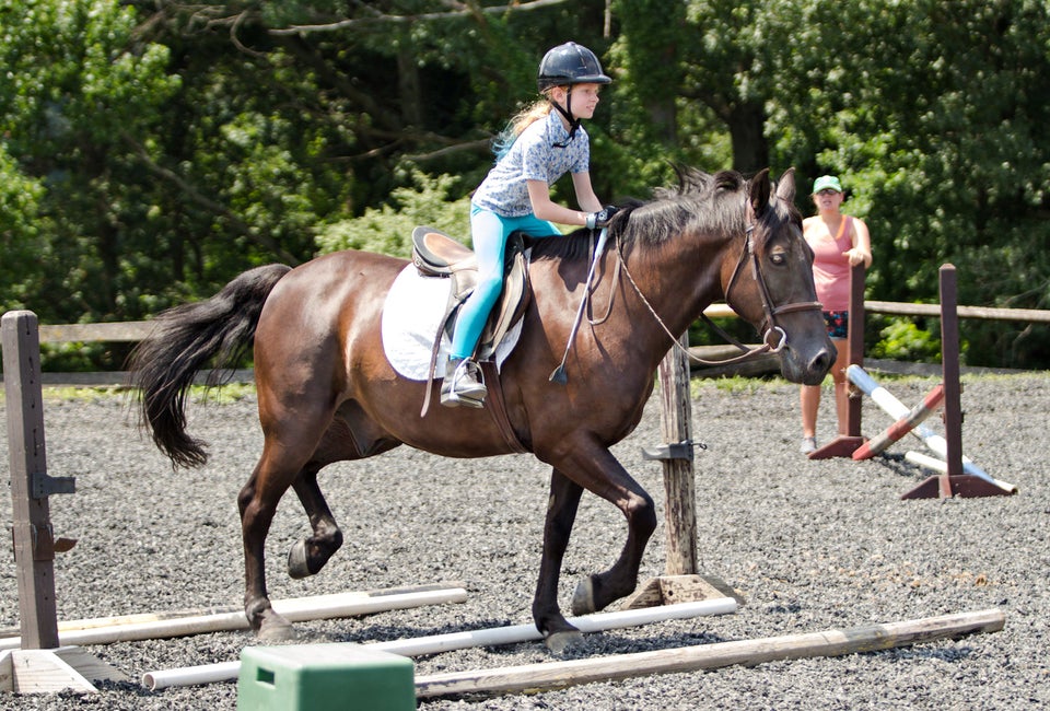Challenge yourself at Ashford Farm. Photo courtesy of the farm