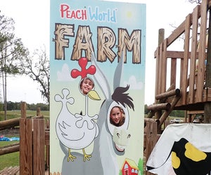 Take a fun-filled break from the drive along I95 and let loose at the ultimate rest stop: Georgia Peach World Farm.