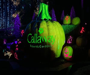Pumpkins at Callaway is a fun fall event with glowing decor, a pumpkin patch, and a gigantic 