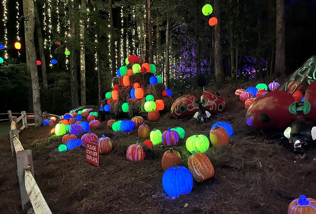 Pumpkin Patches Near Atlanta: Callaway Gardens Pumpkins in the Garden