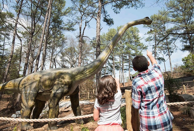 Step back in time to the age of the dinosaurs at Stone Mountain.