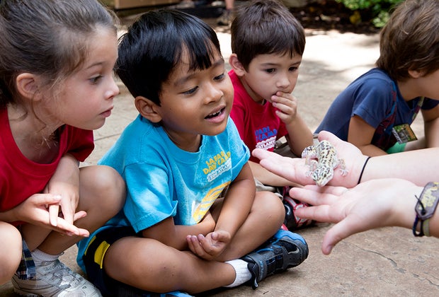 The Best Things to Do and See at Zoo Atlanta with Kids: reptiles