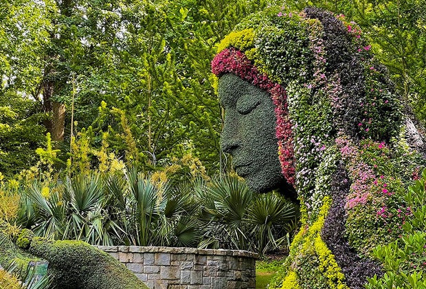 100 Fun Things To Do in Atlanta with Kids Before They Grow Up: : Zoo Atlanta